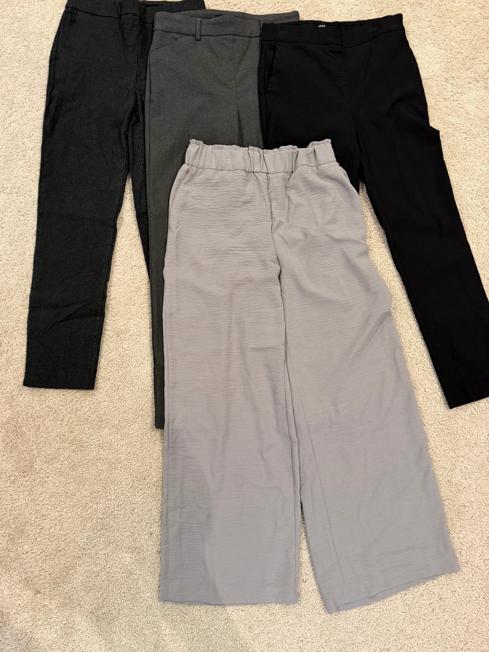Hilary Radley Pull On Dress Pants